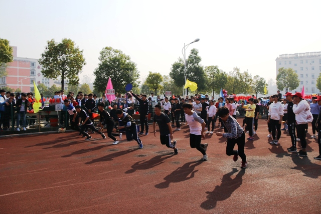 六安新安中学第56届田径运动会 (199).JPG