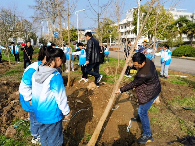 3-12植树节-新安中学05.jpg